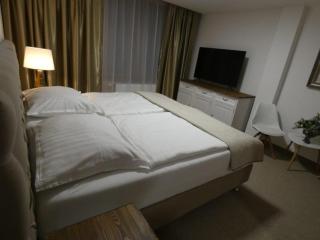 HOTEL GALERIA PEZINSKA BABA - Pezinok - 8