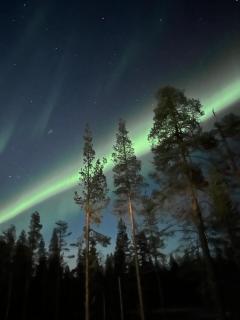 Levi Aurora Sky - Levi - 5