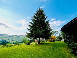 Chalet - Kleines Paradies - - Appenzello - 3