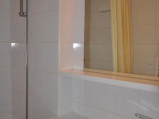 Appartement cosy à 200m des pistes du Linga, balcon sud, parking inclus ! - FR-1-693-47 - Châtel - 3