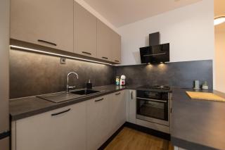 Styria Estate, near Terme Olimia Spa Resort - Podplat - 4