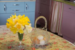 Nantgwynfaen Organic Farm Wales - Llandysul - 1