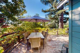 Boho Wine Country Farmhouse - Sebastopol - 9