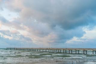 The Palm - Port Aransas - 5
