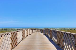 The Palm - Port Aransas - 4