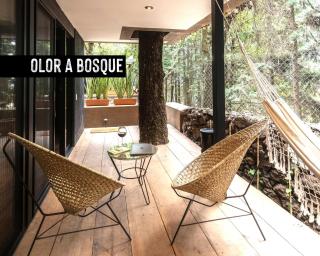 Fungi Tepoz Cabins - - 8