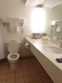Ramada by Wyndham Las Cruces Hotel & Conference Center - 9