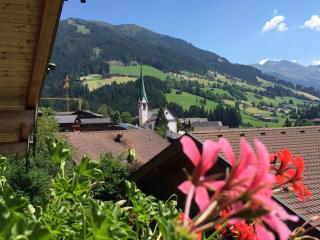 Wellnessappartements Margit - Alpbach - 6