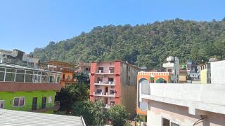 Yellow Leaf - Rishikesh - 2