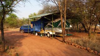 Hartbees Boskamp - Dinokeng Game Reserve - 2