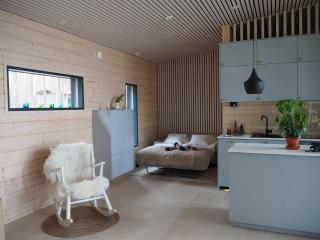 Scandinavian lakeside cottage - Rovaniemi - 3