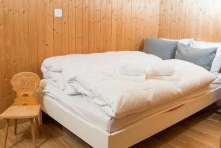Ferienhaus Tgantieni Ski-in Ski-out-Lenzerheide - Lenzerheide - 4