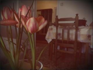 Laghanini Apartments - Spalato (Split) - 6
