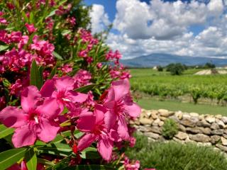 Auberge de Mazan - 3