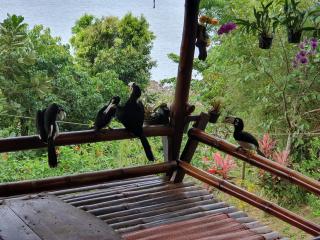 Littleduck bungalow Koh Chang Ranong - Koh Chang Ranong - 4