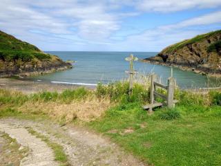 Fforest Cottage - Dinas - 2