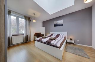 Crystal Apartment Katowice VI - Katowice - 9