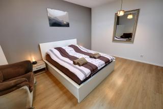 Crystal Apartment Katowice VI - Katowice - 7