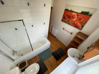 Spacious Family Flat - Londra - 8