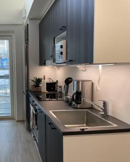Brand new loft apartment with glazed balcony - 9