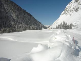 Chalet le chamois - 4