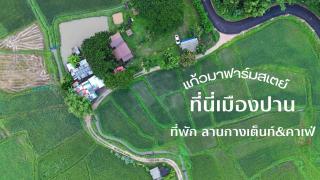 Kaewma farmstay - Ban Khuang Kom - 4
