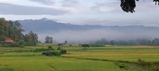Kaewma farmstay - Ban Khuang Kom - 5