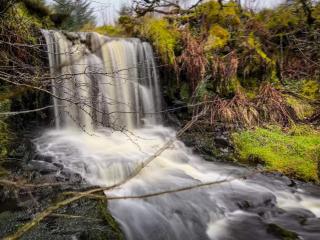 Glenariff Forest Getaway - Glenariff - 0