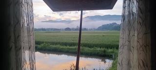 Kaewma farmstay - Ban Khuang Kom - 9