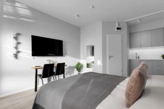 Cozy Studio in Reykjavik - Reykjavik - 8