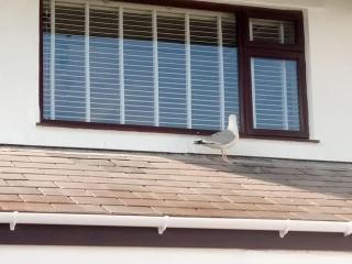 Deganwy Beach house 3BR - Deganwy - 1
