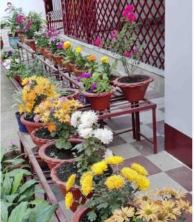 GITALI’s HOMESTAY - Guwahati - 8