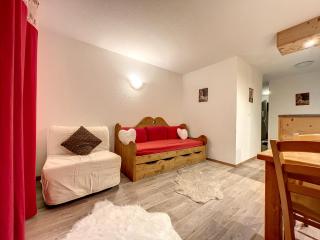 Superbe appartement au pied des pistes - Bergers - Huez - 8