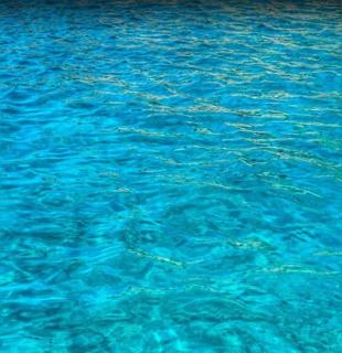 Il Puntino - Porto Santo Stefano - 9