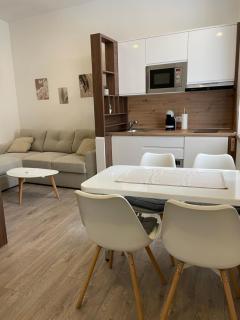 Apartments Studio Center - Sarajevo - 0