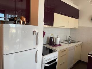 Purple apartment- - Prizren - 7