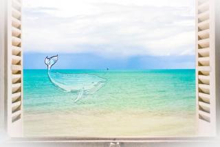 La BALEINE BLEUE - Saint-Aubin-sur-Mer - 9