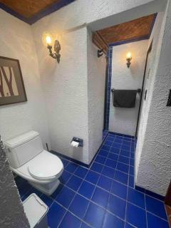 Casa Manantial. Spectacular House Downtown TX 12p - 2