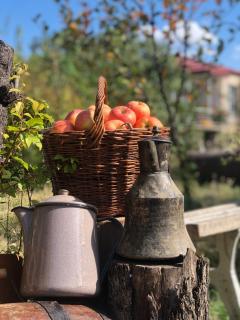 Cozy House - Telavi - 8