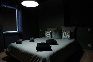 Junglia Suite - Spa & Ciné - Bourg-en-Bresse - 3