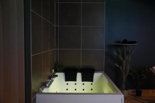 Junglia Suite - Spa & Ciné - Bourg-en-Bresse - 4