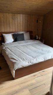 Chalet luxueux - Châtel - 5