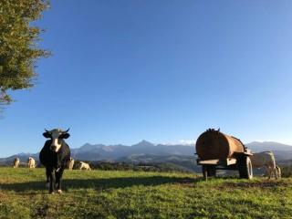 75 m² de plaisir face aux Pyrénées. - - 3