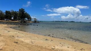 ibis Apartments - Ground Floor - Summersun Residence - Grand Baie, Pereybere - Grand Baie - 3