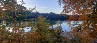 Turkusowy domek nad jeziorem Bystrzyna - - 9