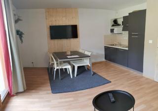Superbe appartement en résidence avec piscine LES ORRES 1800 - Les Orres - 7
