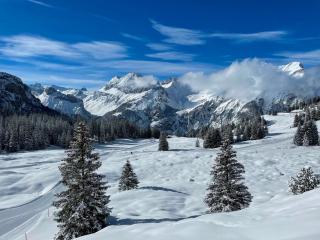 Seilers Vintage Hotel & Spa - 5