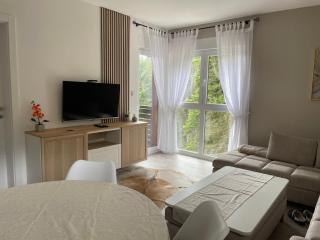 Apartmani Berg - Pale - 3