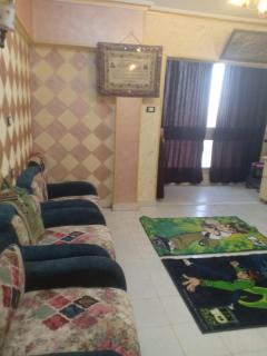 pyramids quite flat near new museum & hadayk ahram - 7