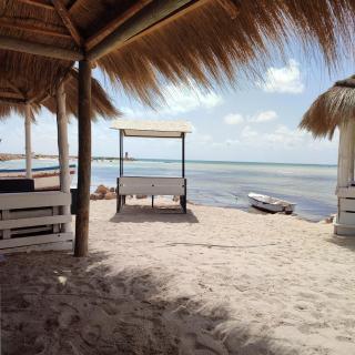 Villa Paco Djerba 2 suites et piscine privée - Taguermess - 7